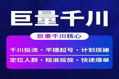 竞价广告的智能投放：XX平台的创新实践